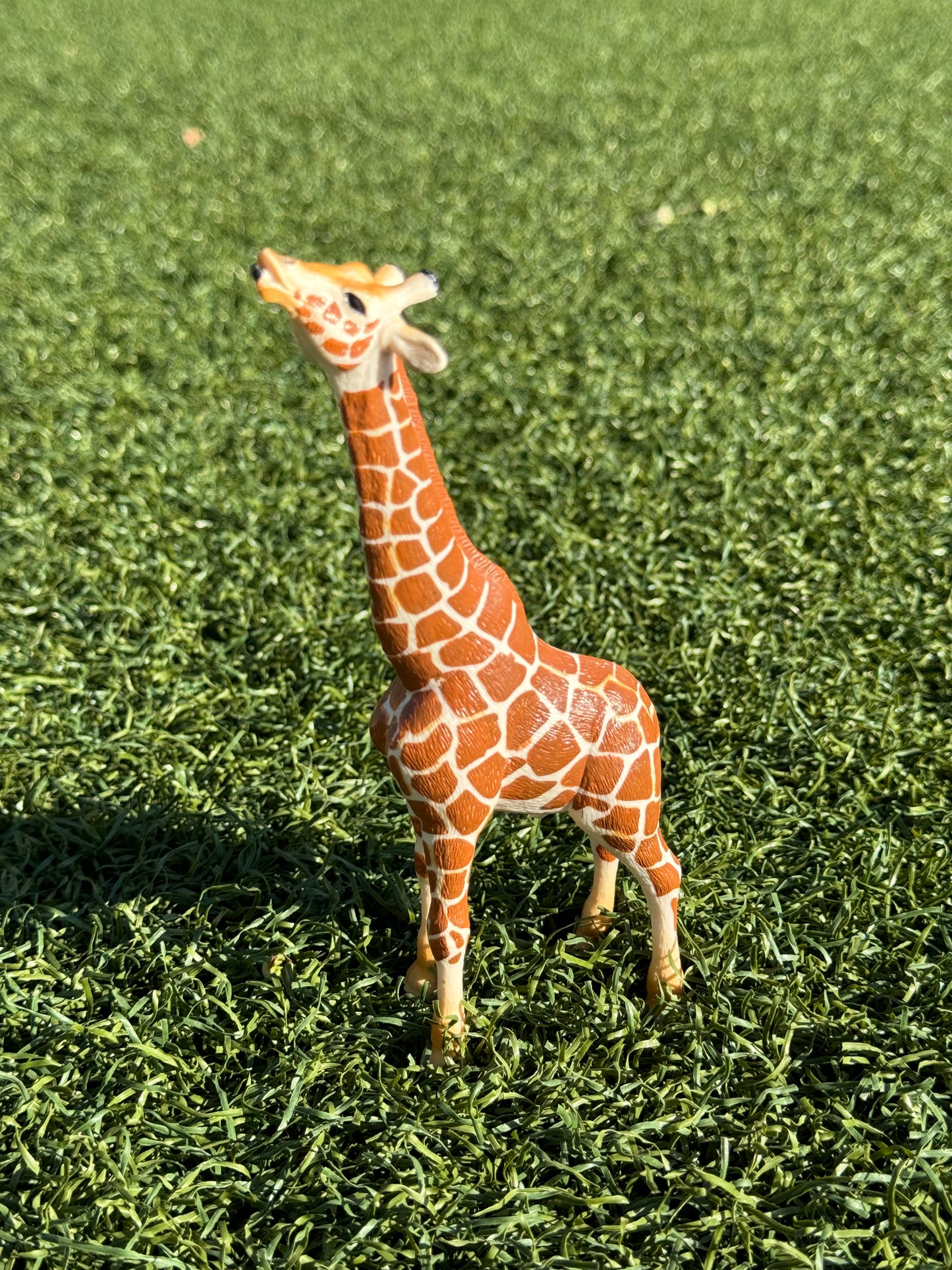 Wild Animal Figurine - Giraffe